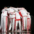 Les africains de la NBA